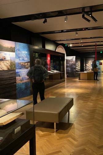 Roman busts, weapons, coral and other artefacts fill the shelves of the Cabinet of Curiousities at Rembrandt's historic house in Amsterdam.