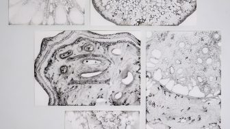 Photo of Sophie Rhodes' Sympoiesis