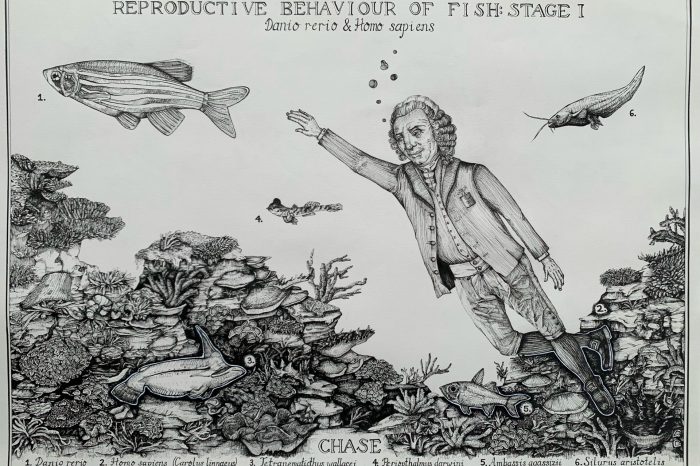 Amelia van der Laan de Vries fish artwork