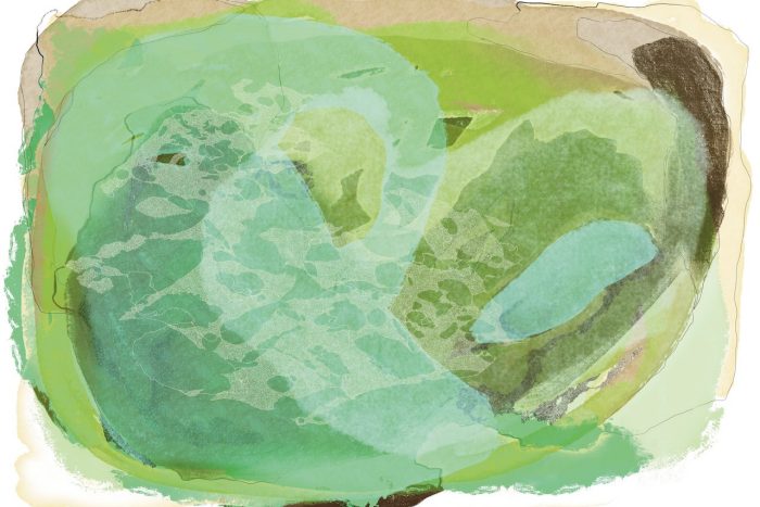 Kristy Gordon's rockpool artwork