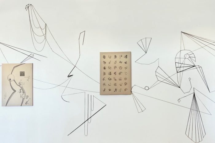 Tia Madden's specimens artwork