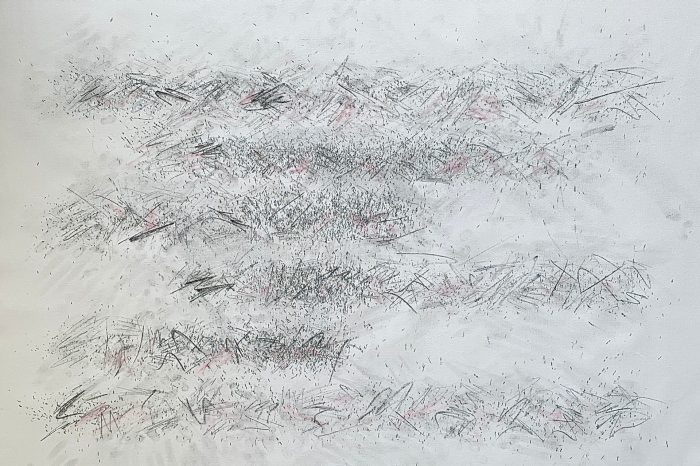 'Smudged Line' by Lucy McLauchlan