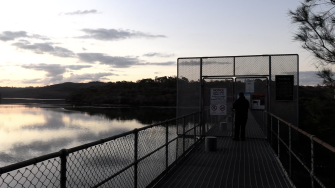 artwork by Lulu Blayney