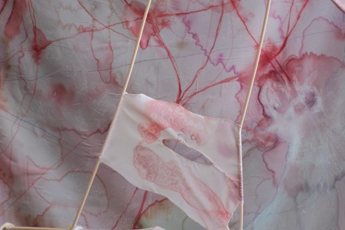 Emily Schorowsky details