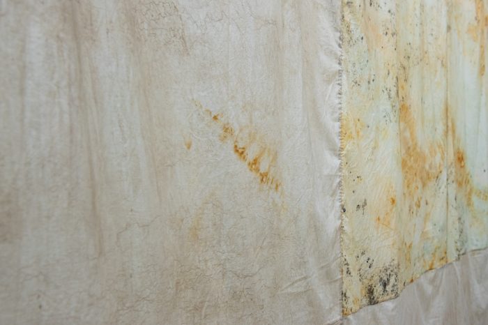 Emma Pinsent Coming together details