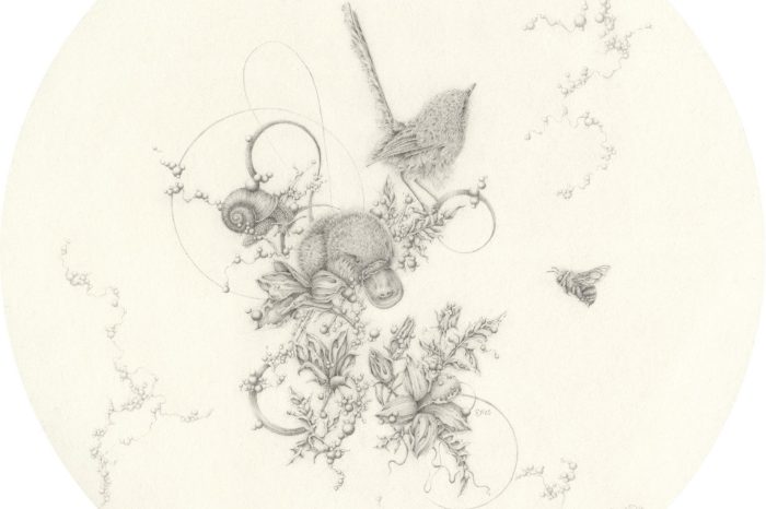 Eva Nolan Entanglings details