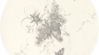 Eva Nolan Entanglings