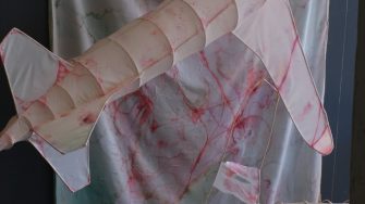 Emily Schorowsky fullwork