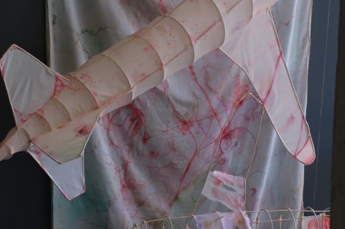 Emily Schorowsky fullwork