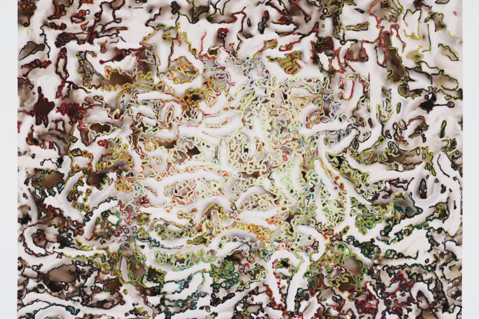 Noodle Maps installation