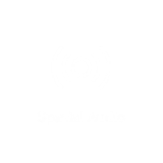 Spatial audio icon