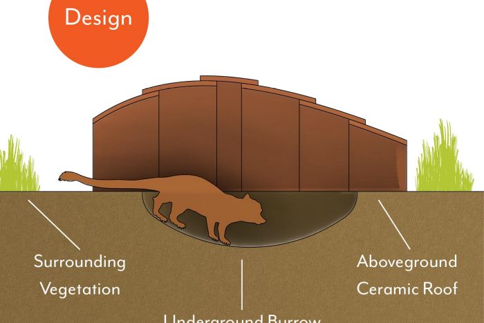 Lachlan Chang Cross section with key features