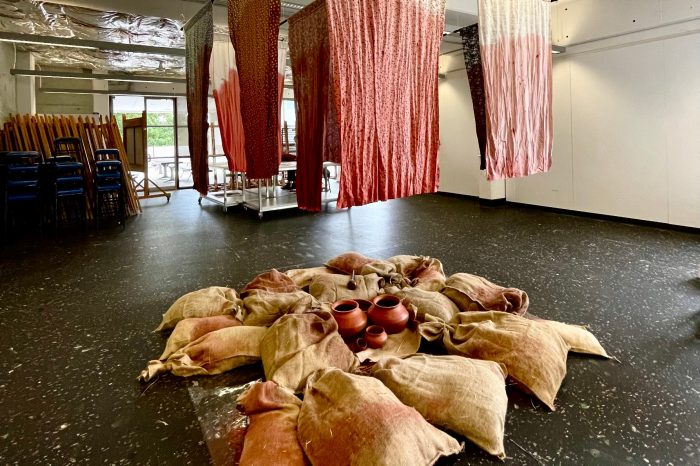 vedika rampal art piece for jenny brit award