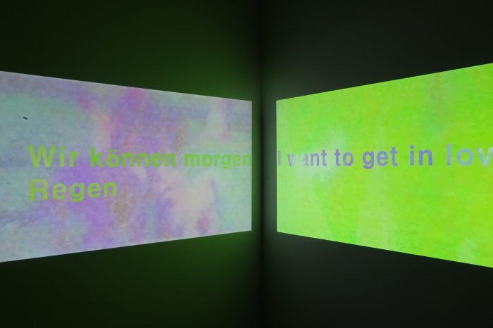 Emily Naya Schorowsky, 'Dogs at the Park' 2024, Video, 2:14 min, dimensions variable. 