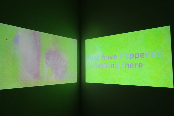 Emily Naya Schorowsky, 'Dogs at the Park' 2024, Video, 2:14 min, dimensions variable. 