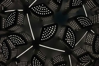 Donna Marcus - Vapour