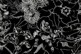 The Dose theme background