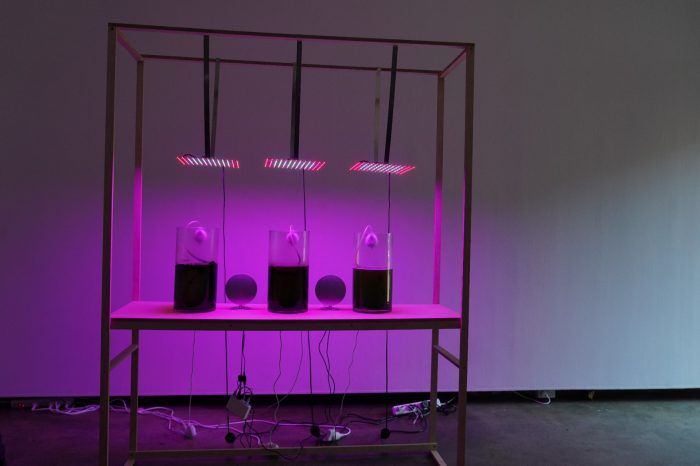 Carolyn McKenzie-Craig - Algaeic Intent