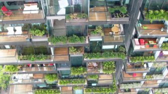 HPA Urban Ecology Renewal Project