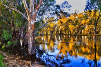 Photo of Murrumbidgee river up stream