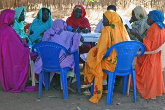 FMRN Projects Gender Audits