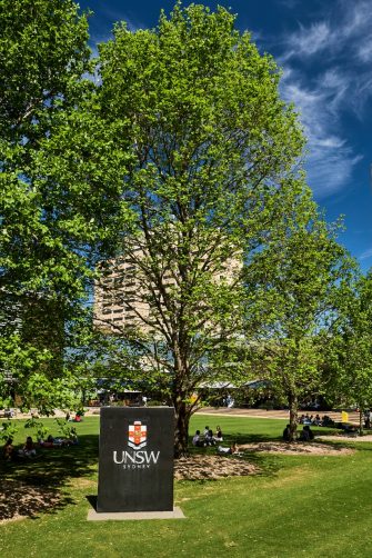Students relaxing on Library lawn at Kensington UNSW.