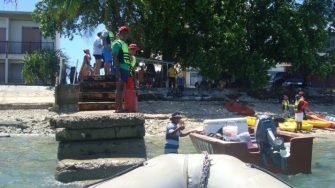 Parents and parental figures are highly represented in offender populations.