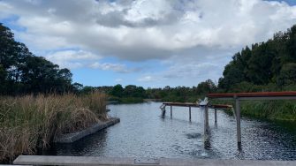 Water feature at Sydney Park
