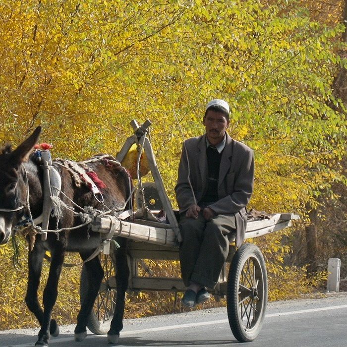 An Uyghur farmer on his way to field Kashgar XInjiang