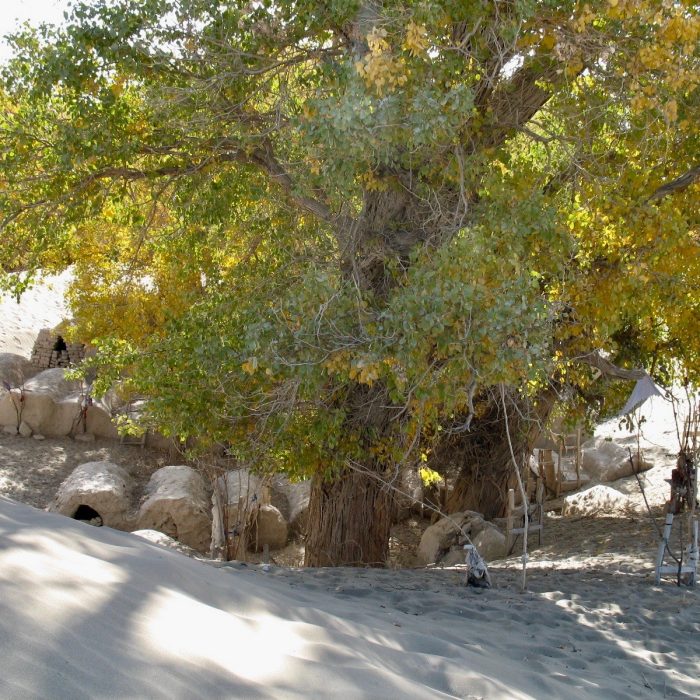 Shrine taklamakan desert