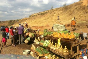 Roadside genetic resources, central Madagascar near Antananarivo