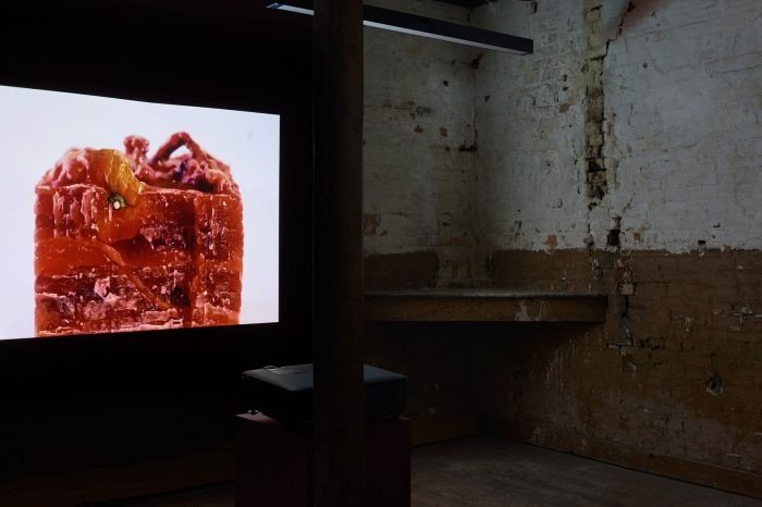 artwork by tan lijie