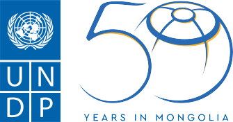 UNDP Logo