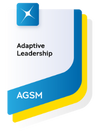Adaptive leadership badge