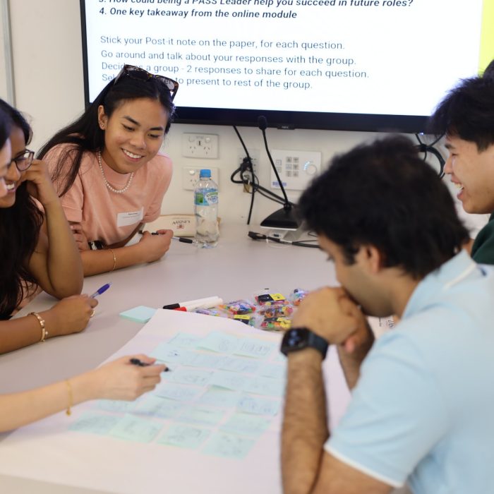 Business School PASS leader training workshop