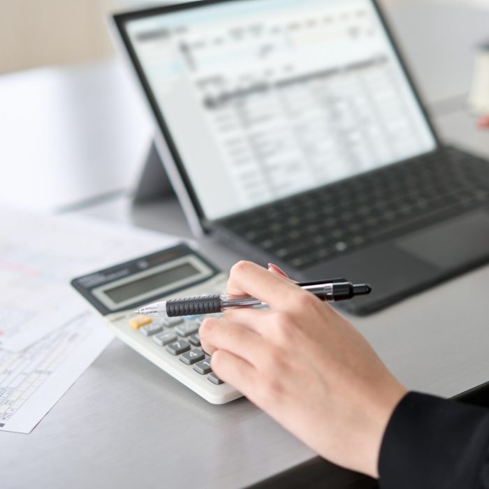 Person entering journal entries in accounting software