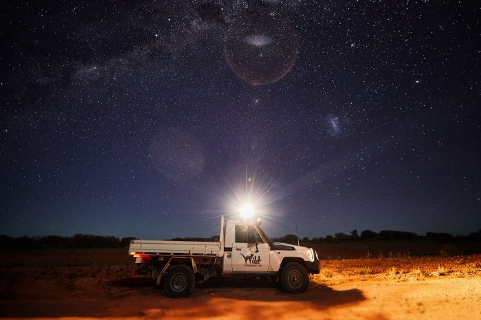 A white ute with 'Wild Deserts' logo under a starry night sky. Reece shines a spotlight from the ute into the distance.