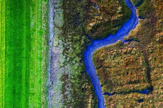 Environment & governance banner