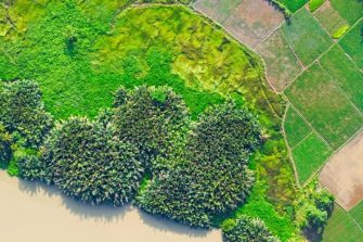 Environmental geography banner