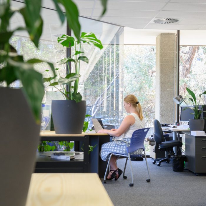 UNSW Canberra Launch on Northbourne promotional imageryFeaturing Suzanna Holmes, Luke Garner, Elly Mackay, Rose Mackay