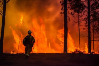 Firefighters battle a wildfire that burned a forest, charred trees and smoke