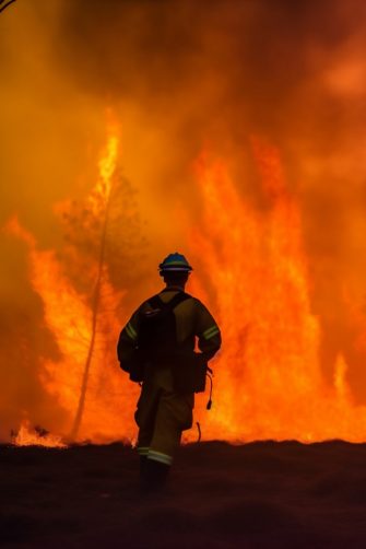 Firefighters battle a wildfire that burned a forest, charred trees and smoke