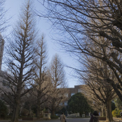 Ochanomizu University