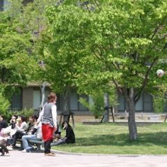 Hiroshima University