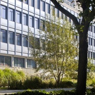 Institut National des Sciences Appliquees de Lyon (INSA)