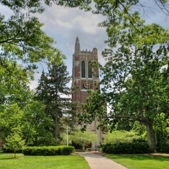 Michigan State University