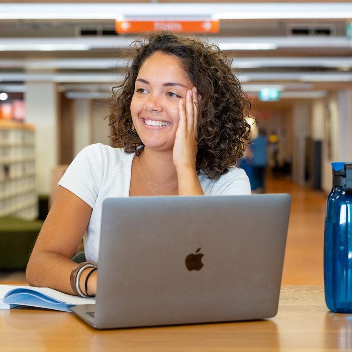 Students studing in the library