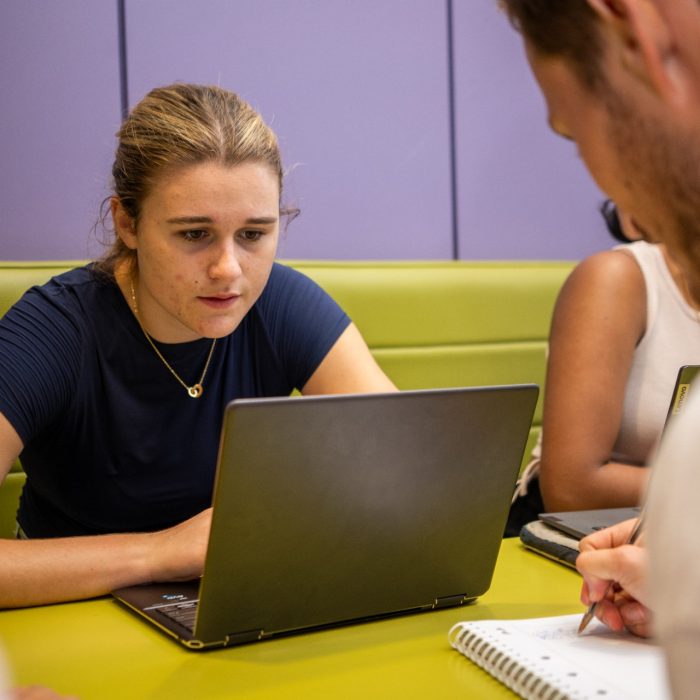 A group of students using laptops while studying indoors on UNSW Kensington Campus