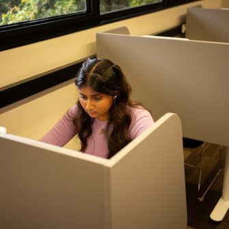 Remote Inspera exams