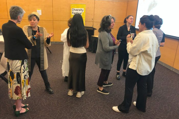 Diversity Festival 2024 - JEINA event